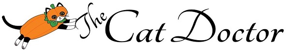 Cat Doctor Seattle